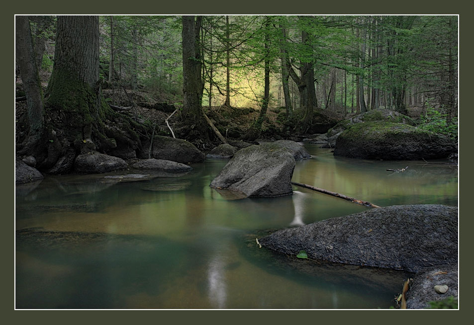 Abends im Otterbachtal