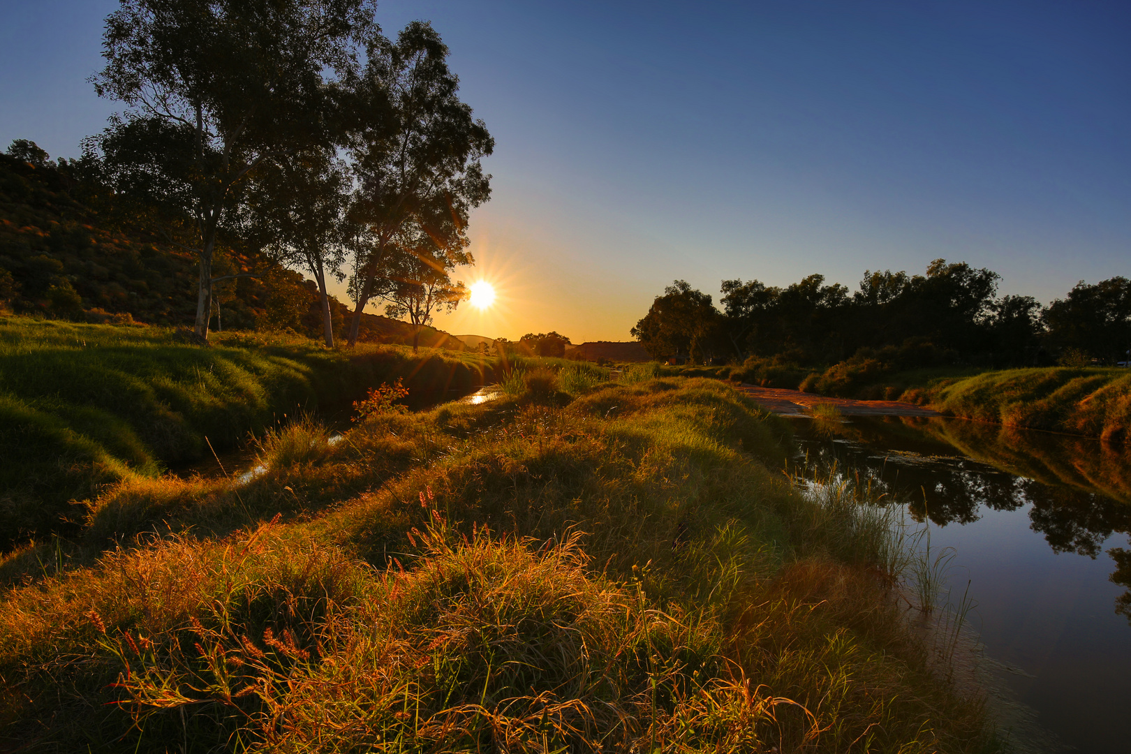 Abends im Outback