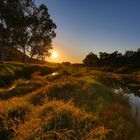 Abends im Outback