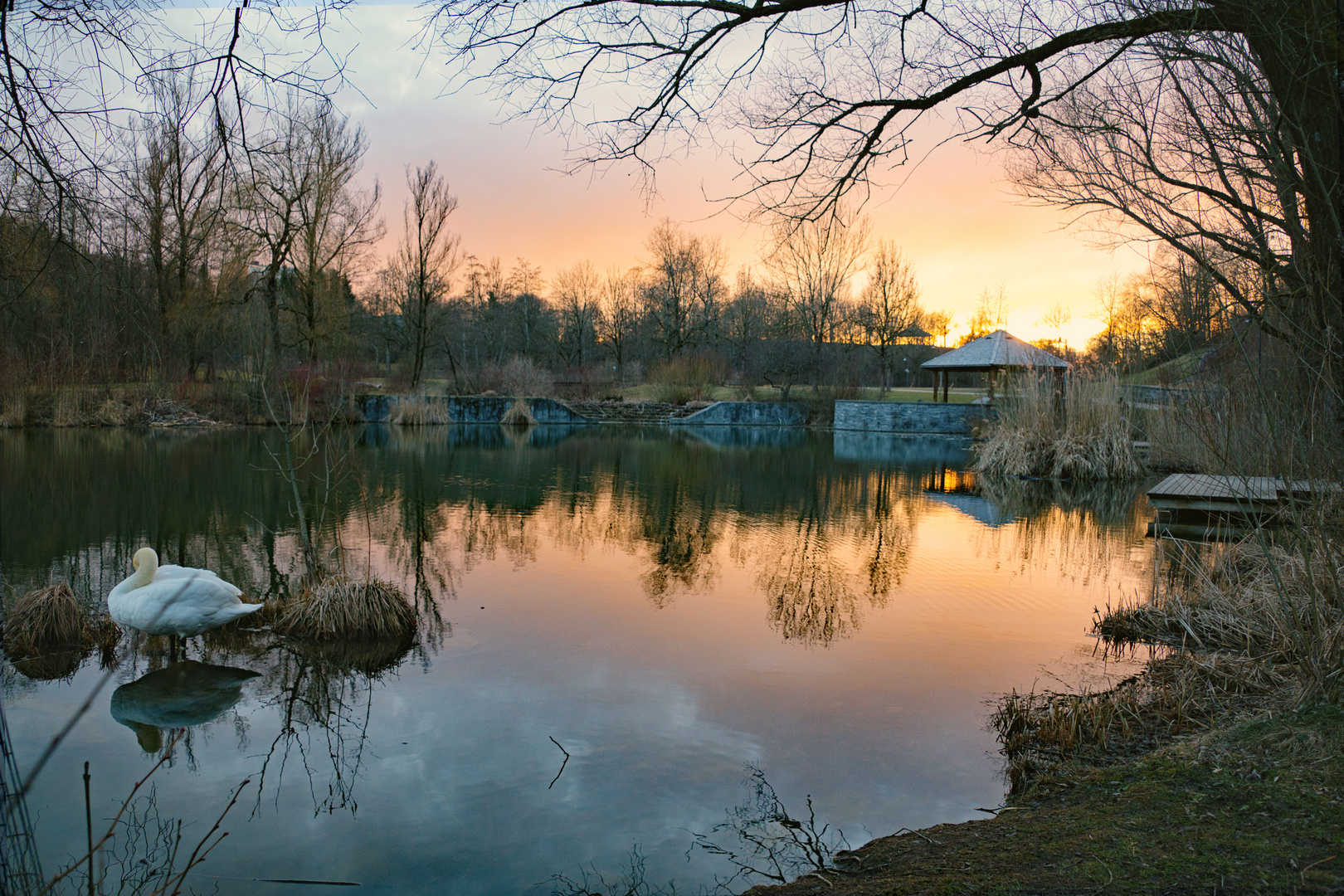 Abends im Park