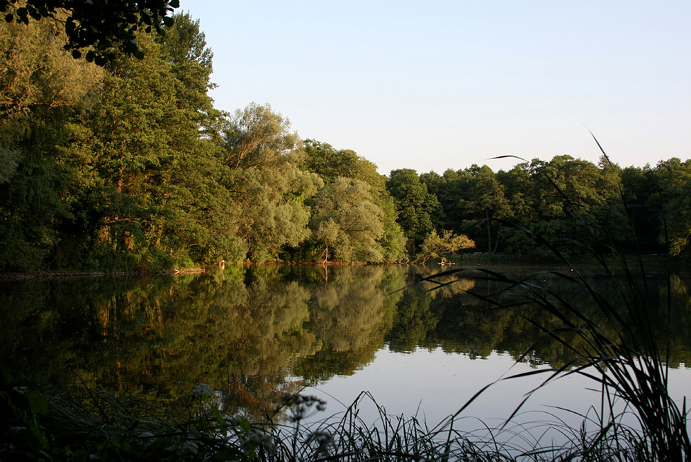 Abends im Park