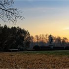 - Abends im Park -