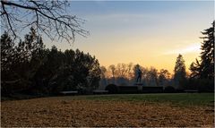 - Abends im Park -