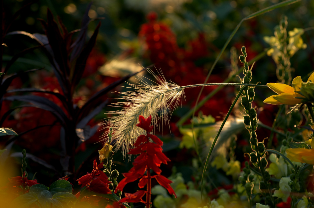 Abends im Park