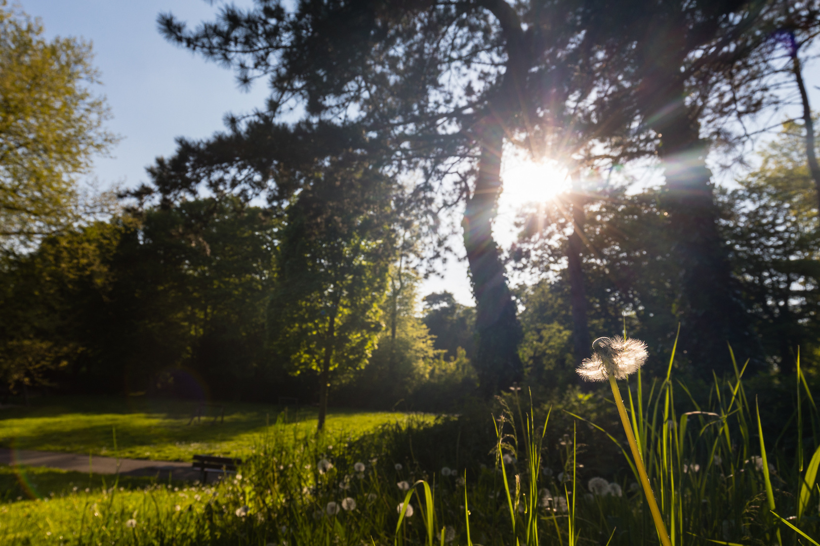 Abends im Park