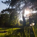 Abends im Park