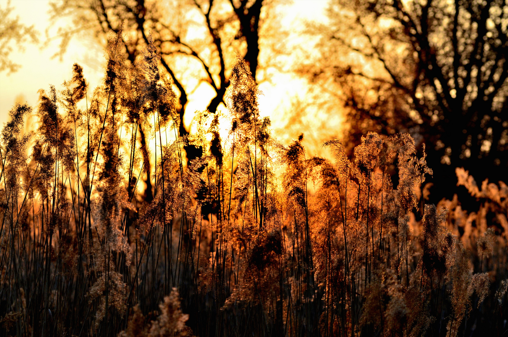 Abends im Park