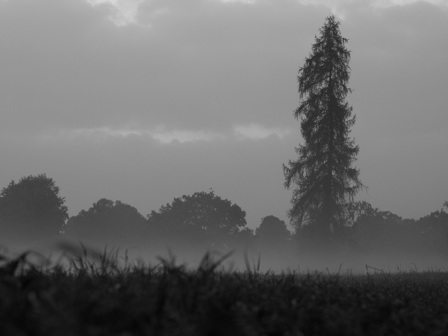 Abends im Park