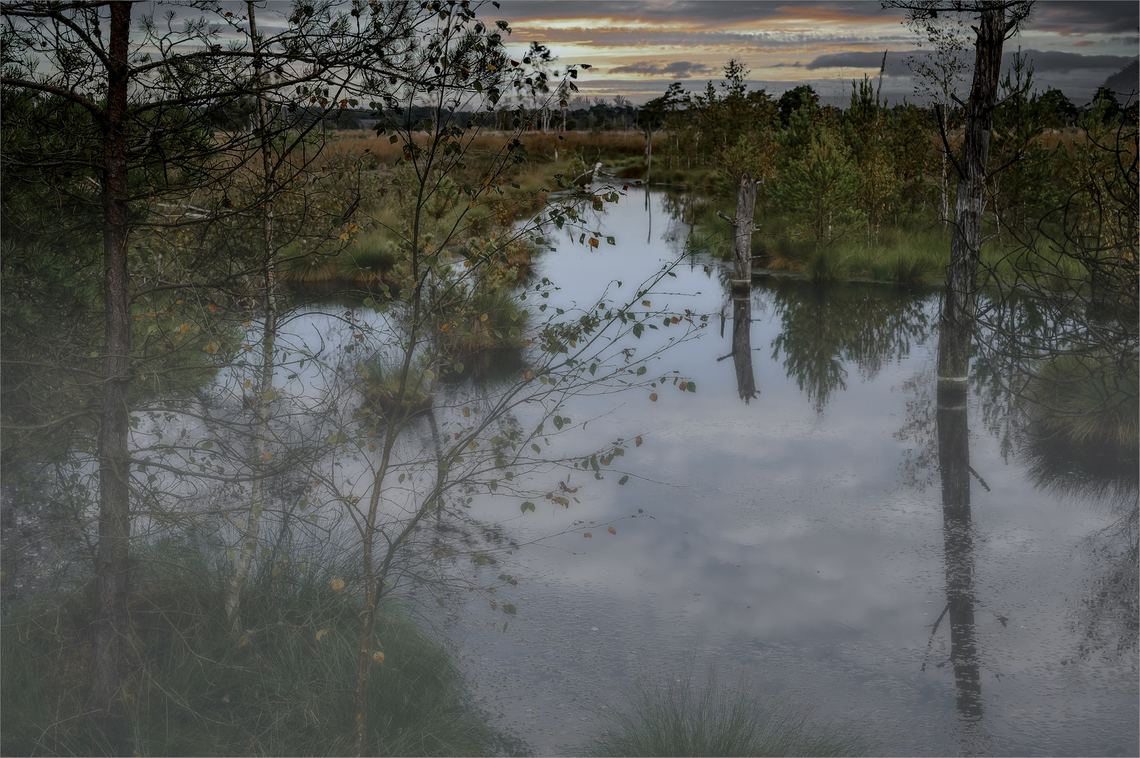 Abends im Pietzmoor