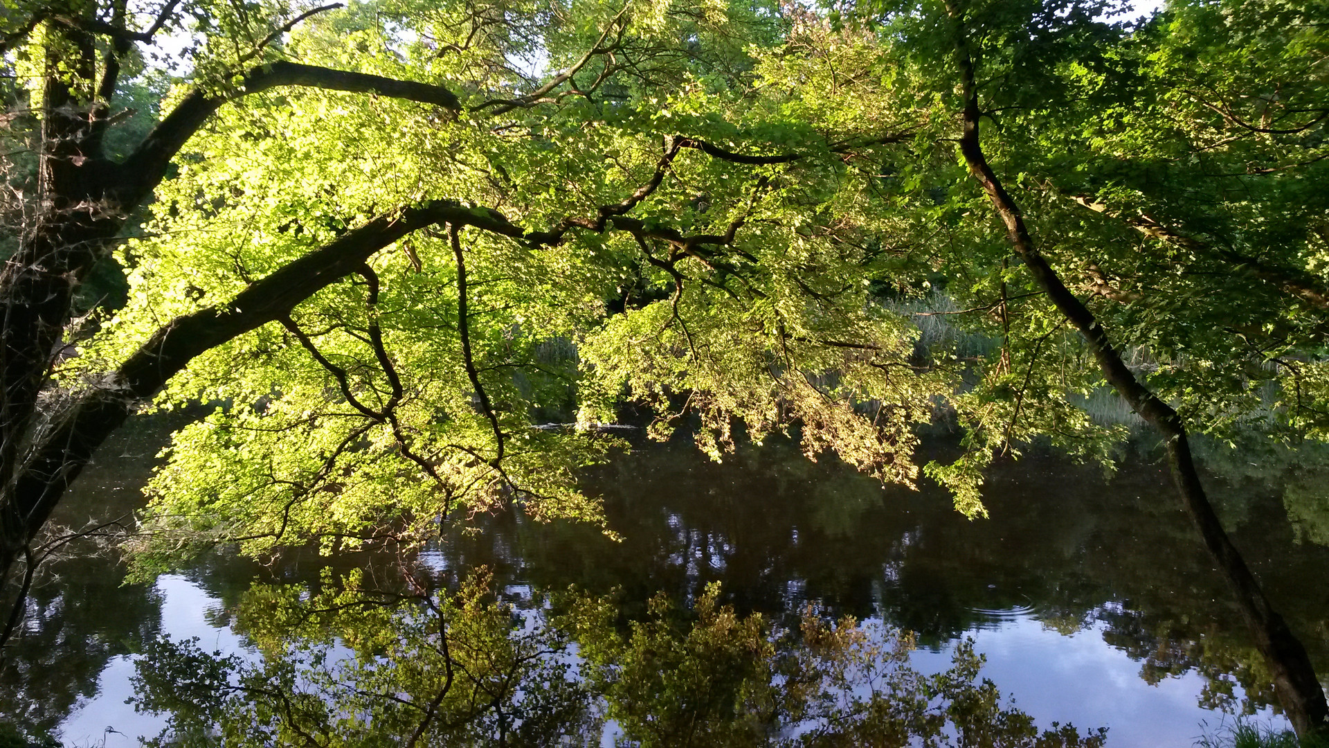 abends im prater