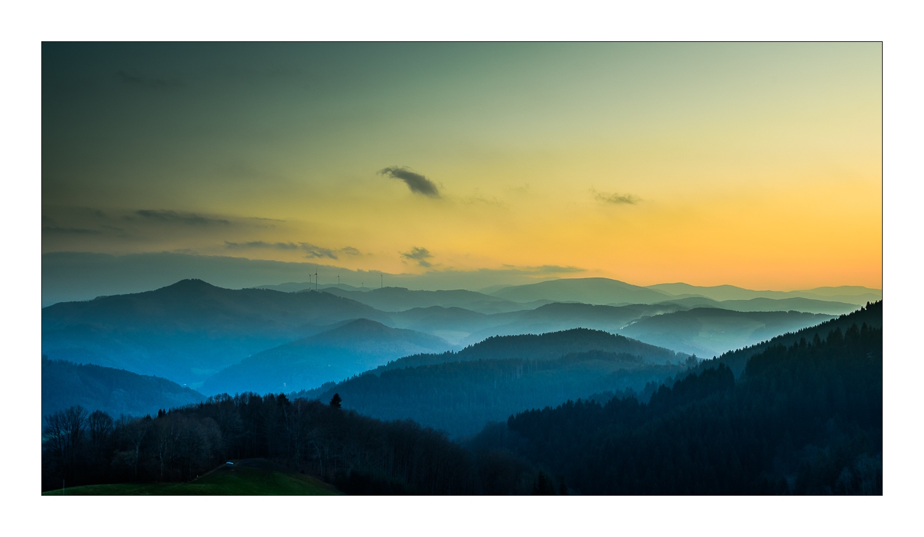 Abends im Schwarzwald