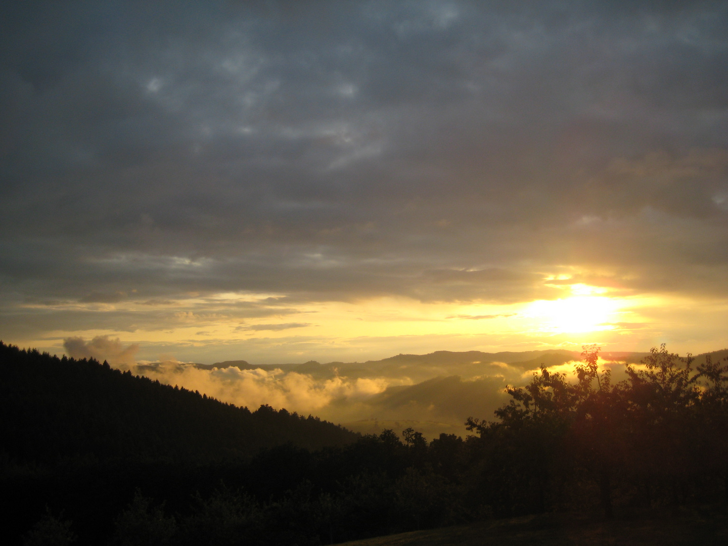 Abends im Schwarzwald