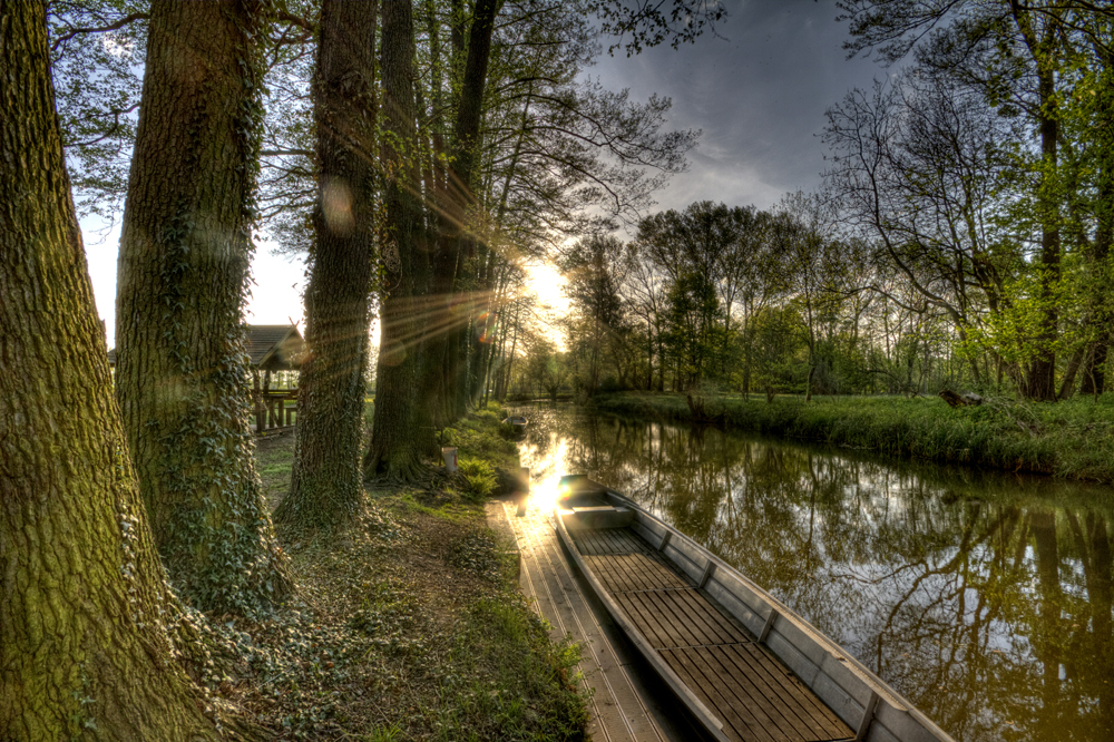 Abends im Spreewald