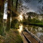 Abends im Spreewald