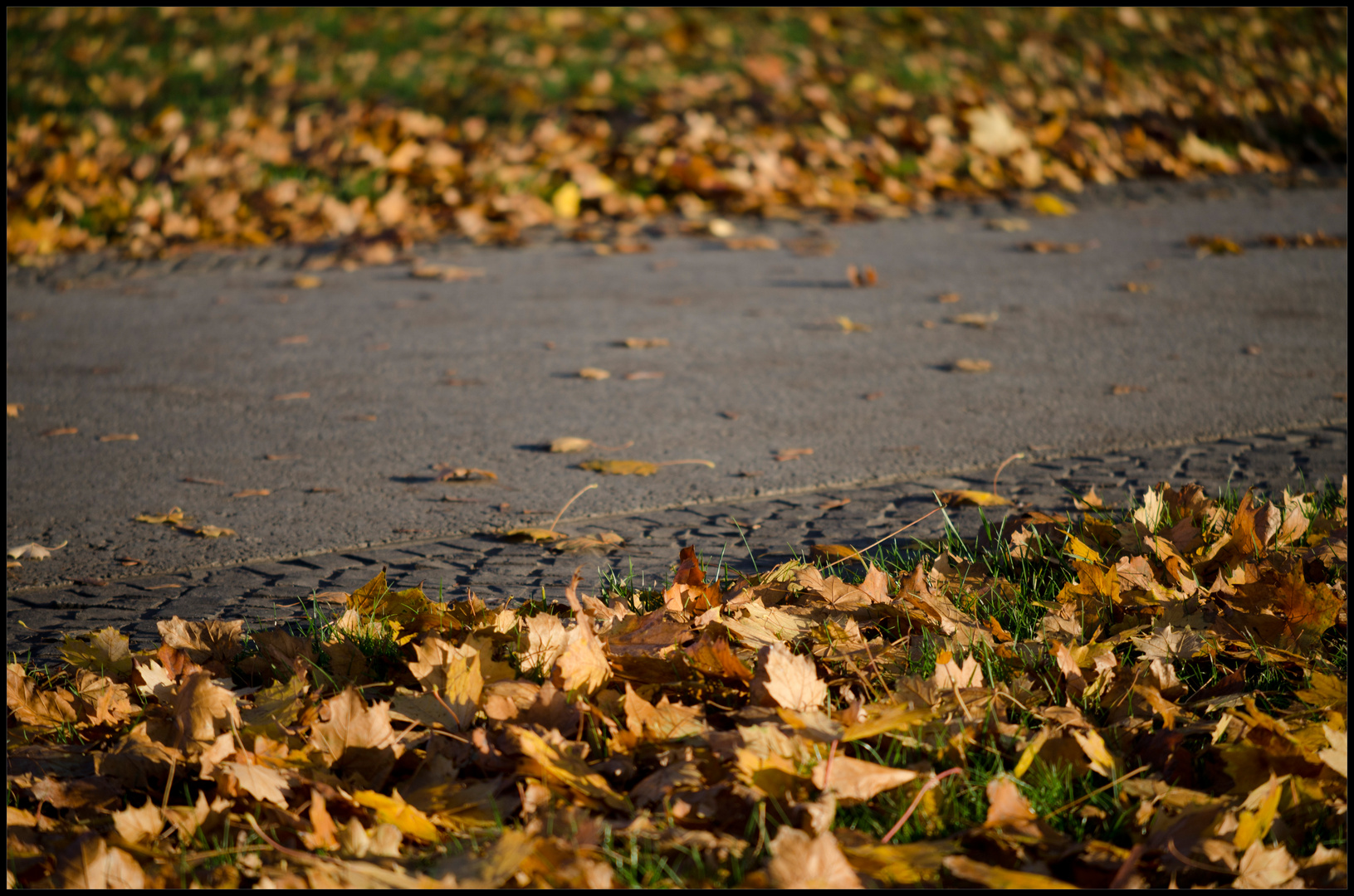 Abends im Stadtpark …