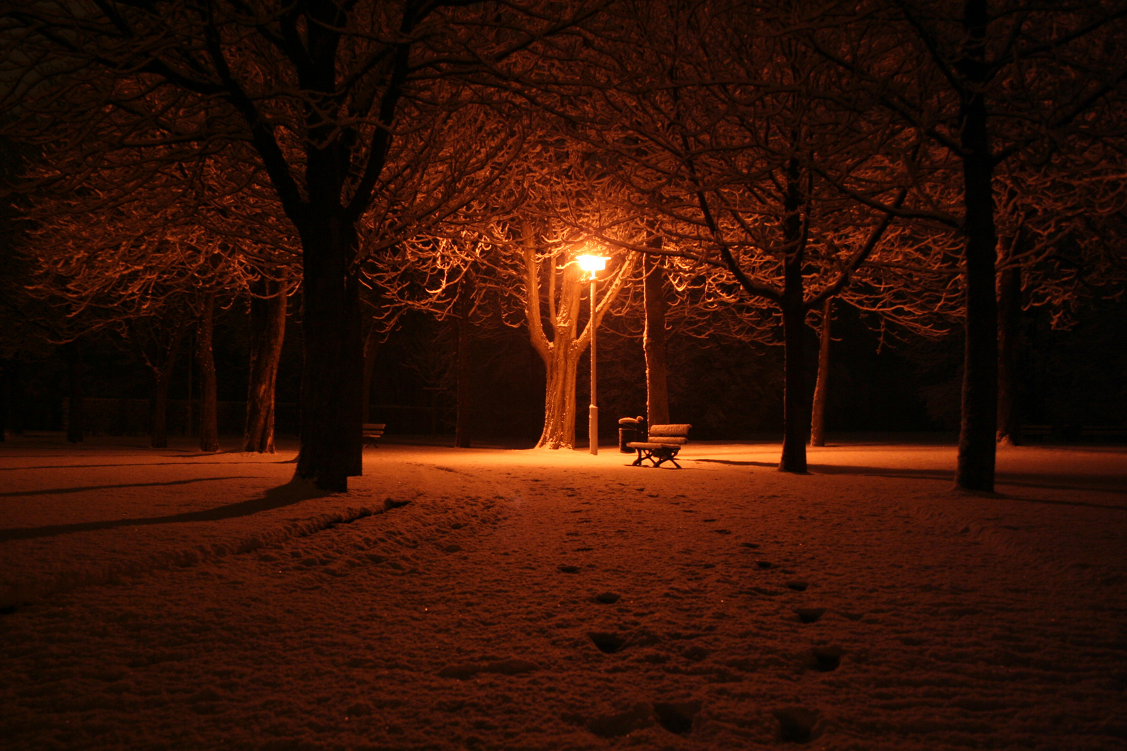 abends im Stadtpark