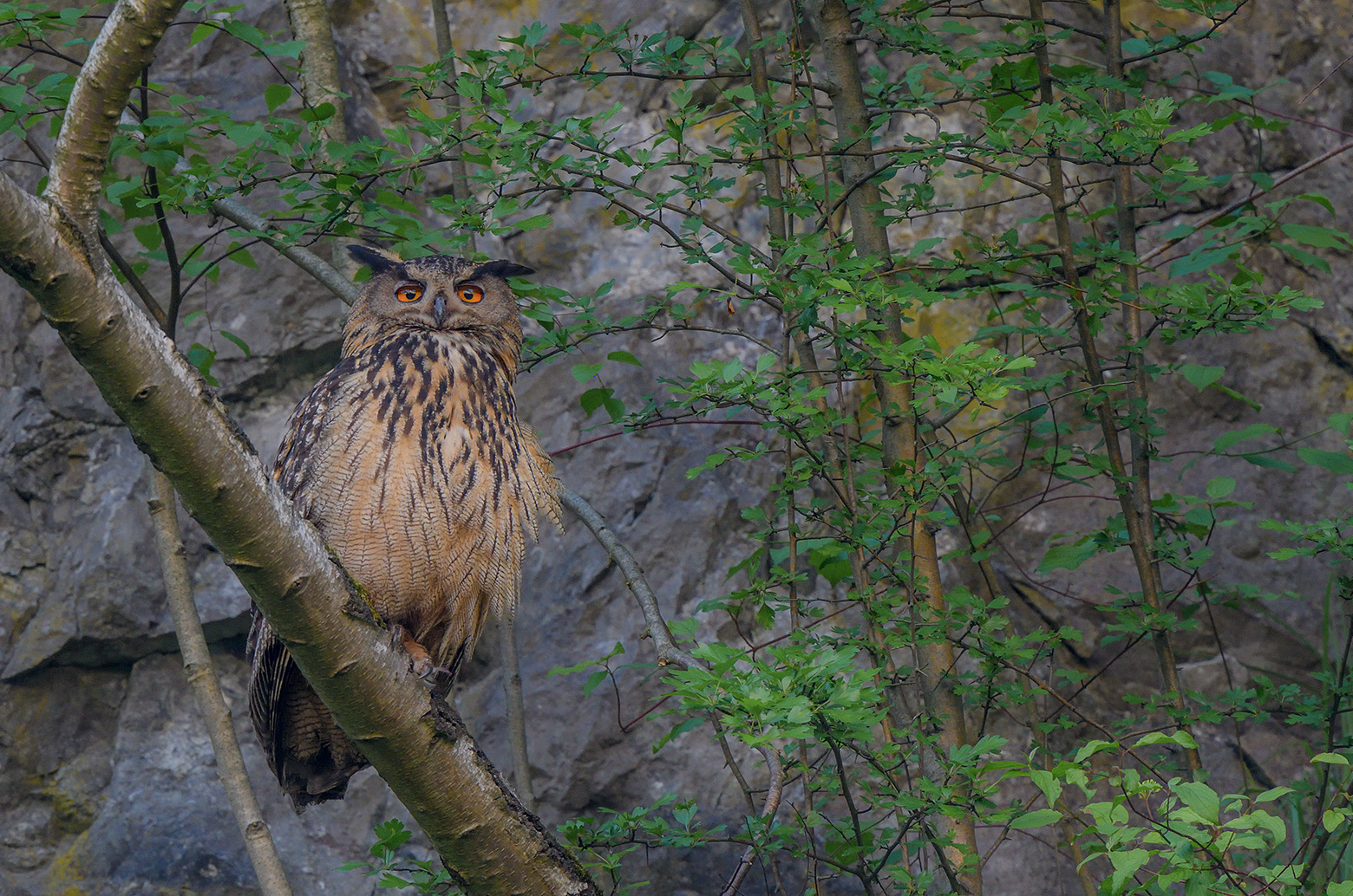 Abends im Steinbruch