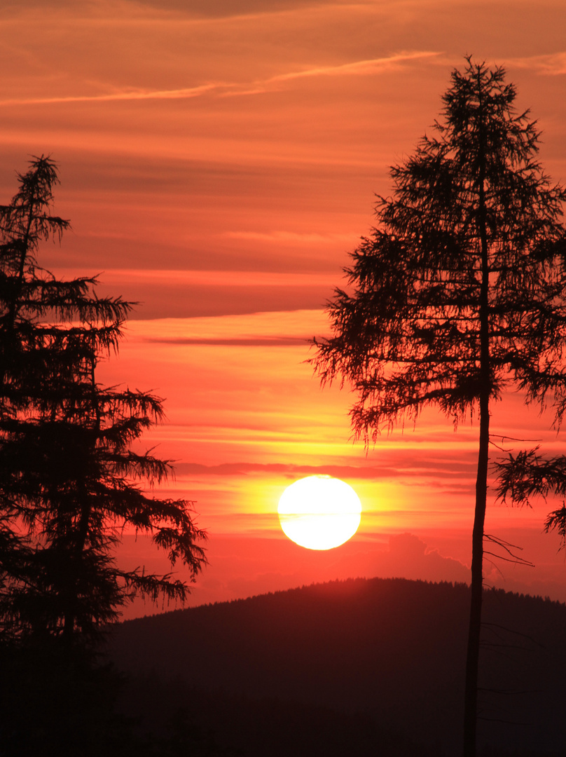 Abends im Thüringer Wald