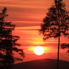 Abends im Thüringer Wald