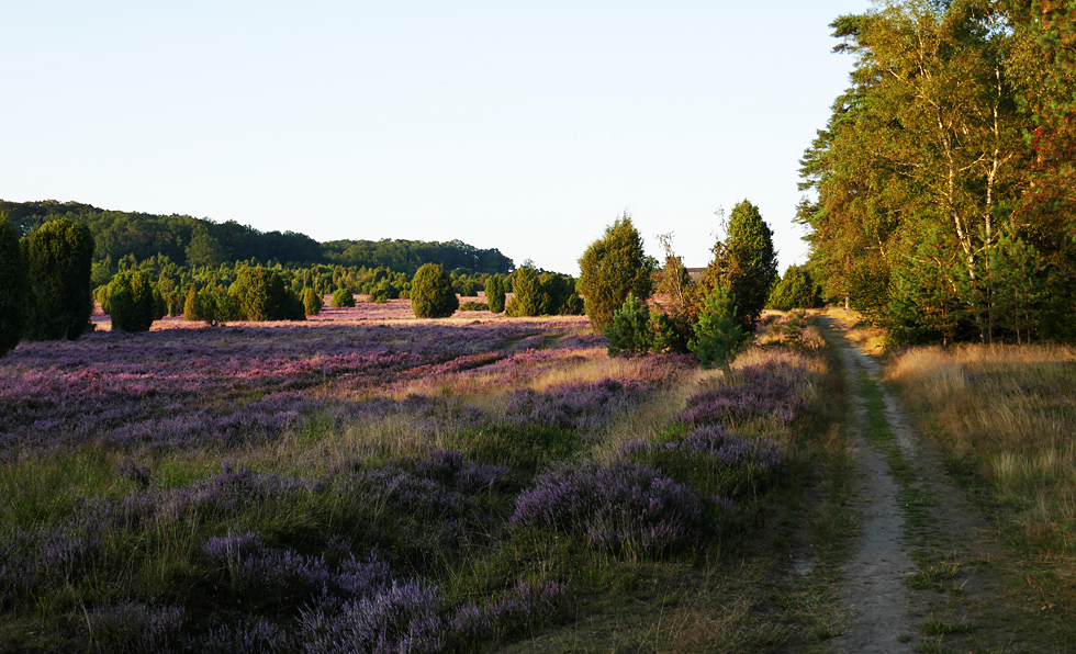 Abends im Totengrund