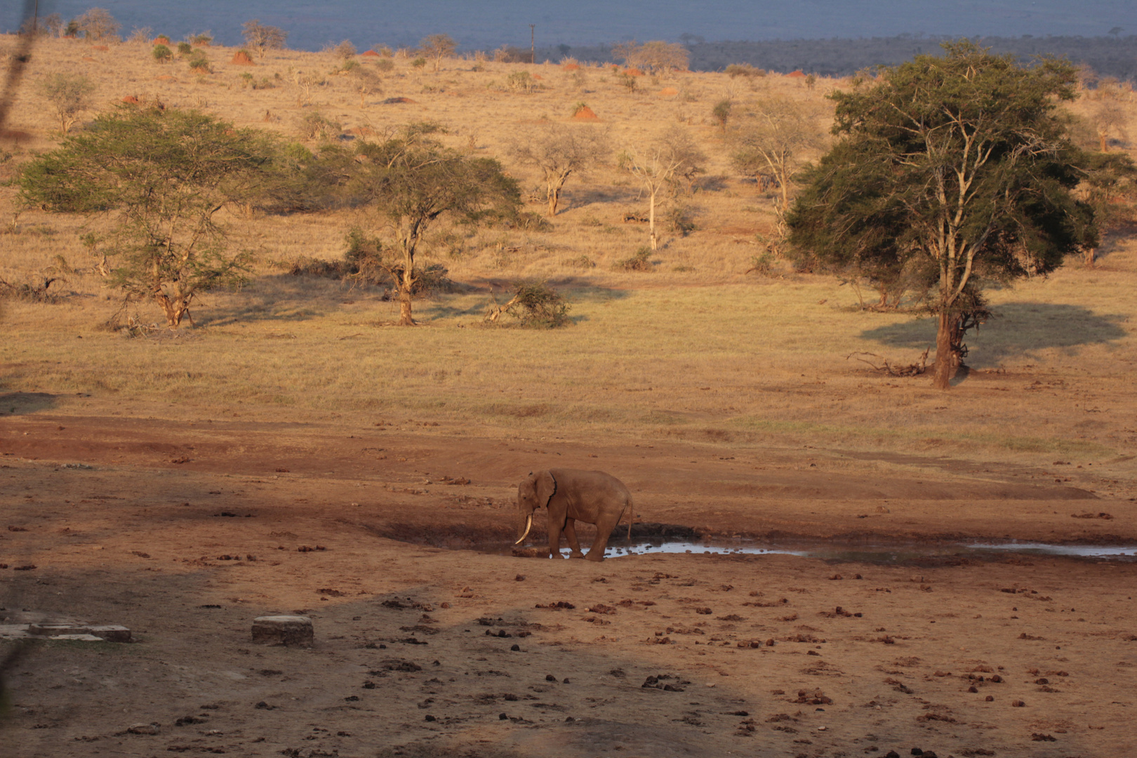 Abends im Tsavo Nationalpark