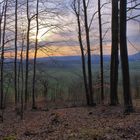 abends im Wald (por la tarde en el bosque)