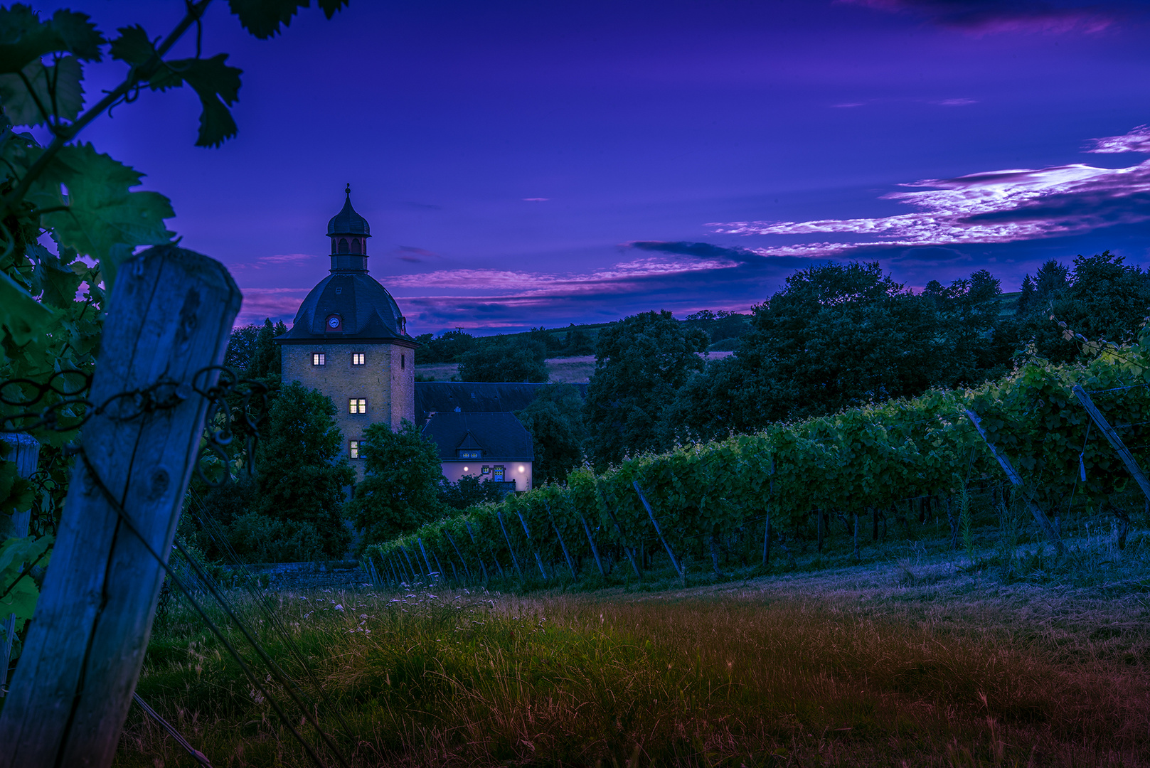 Abends im Weinberg