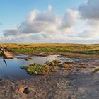 abends im Weltnaturerbe-Wattenmeer