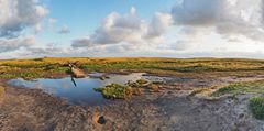 abends im Weltnaturerbe-Wattenmeer