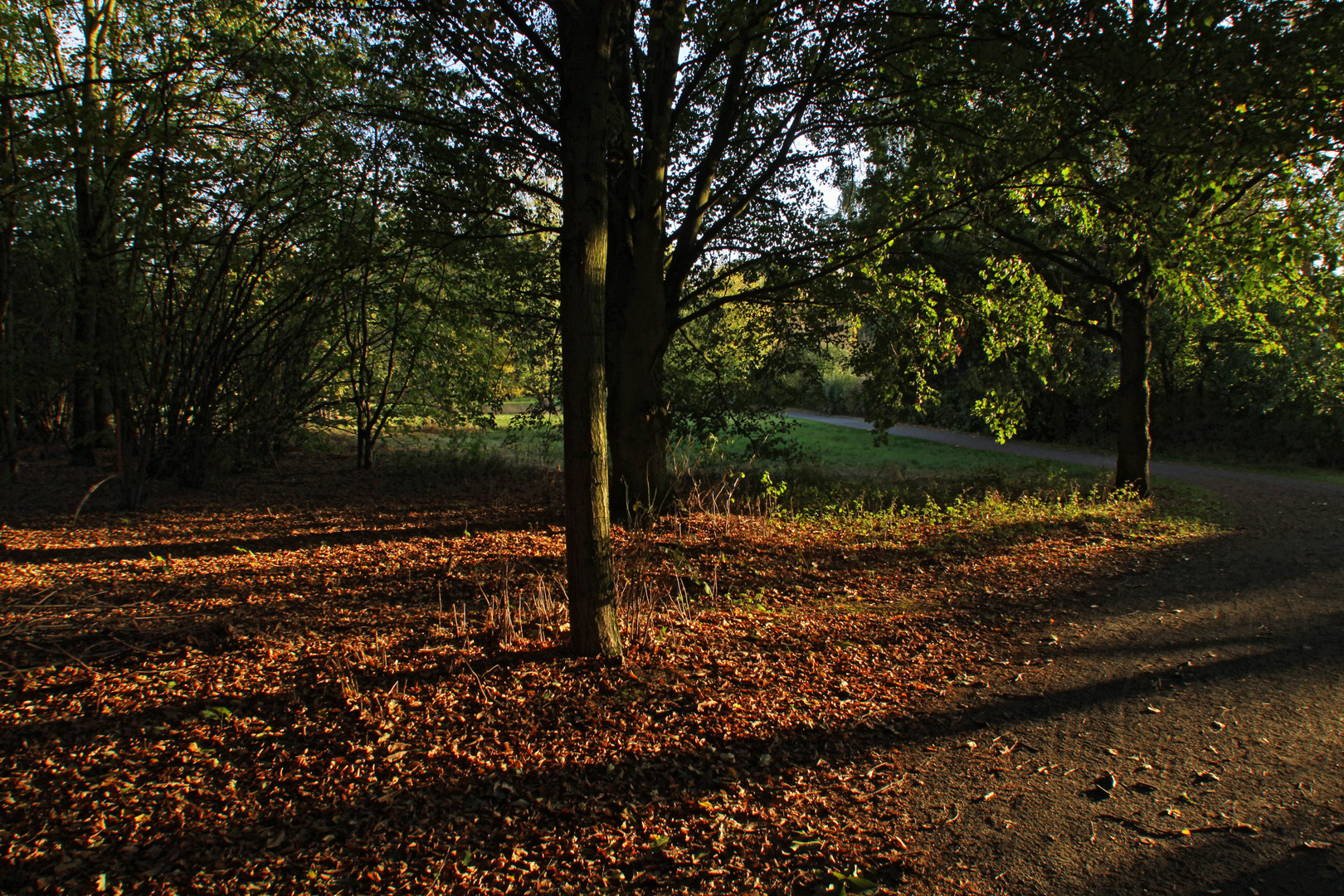 Abends im Westpark