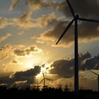 Abends im Windpark