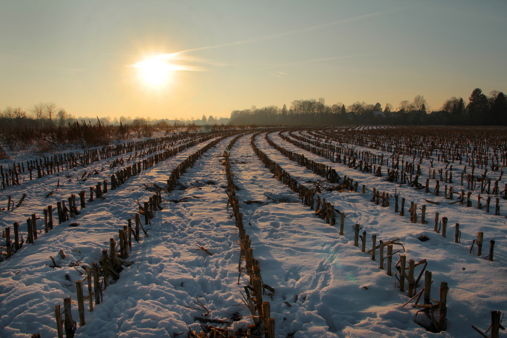 Abends im Winter