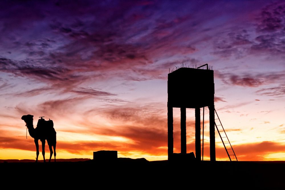 Abends im Wüstencamp