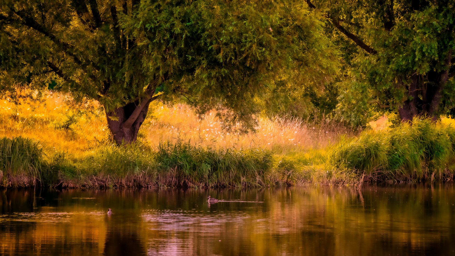 Abends in Brandenburg, ...