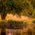 Abends in Brandenburg, ...