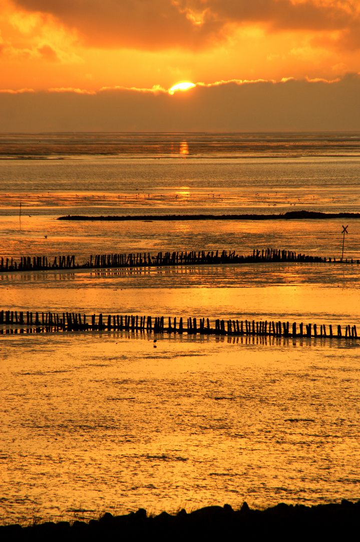 Abends in Büsum