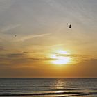 Abends in Conil de la Frontera ...