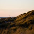 Abends in den Dünen