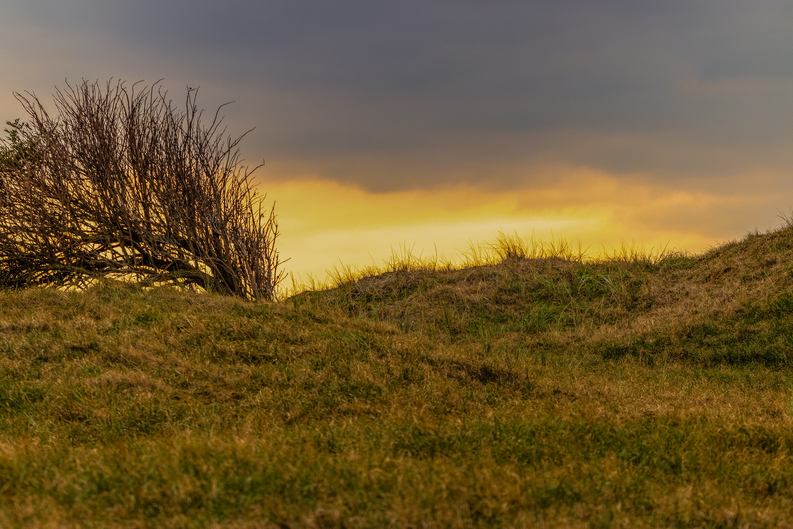 Abends in den Duenen