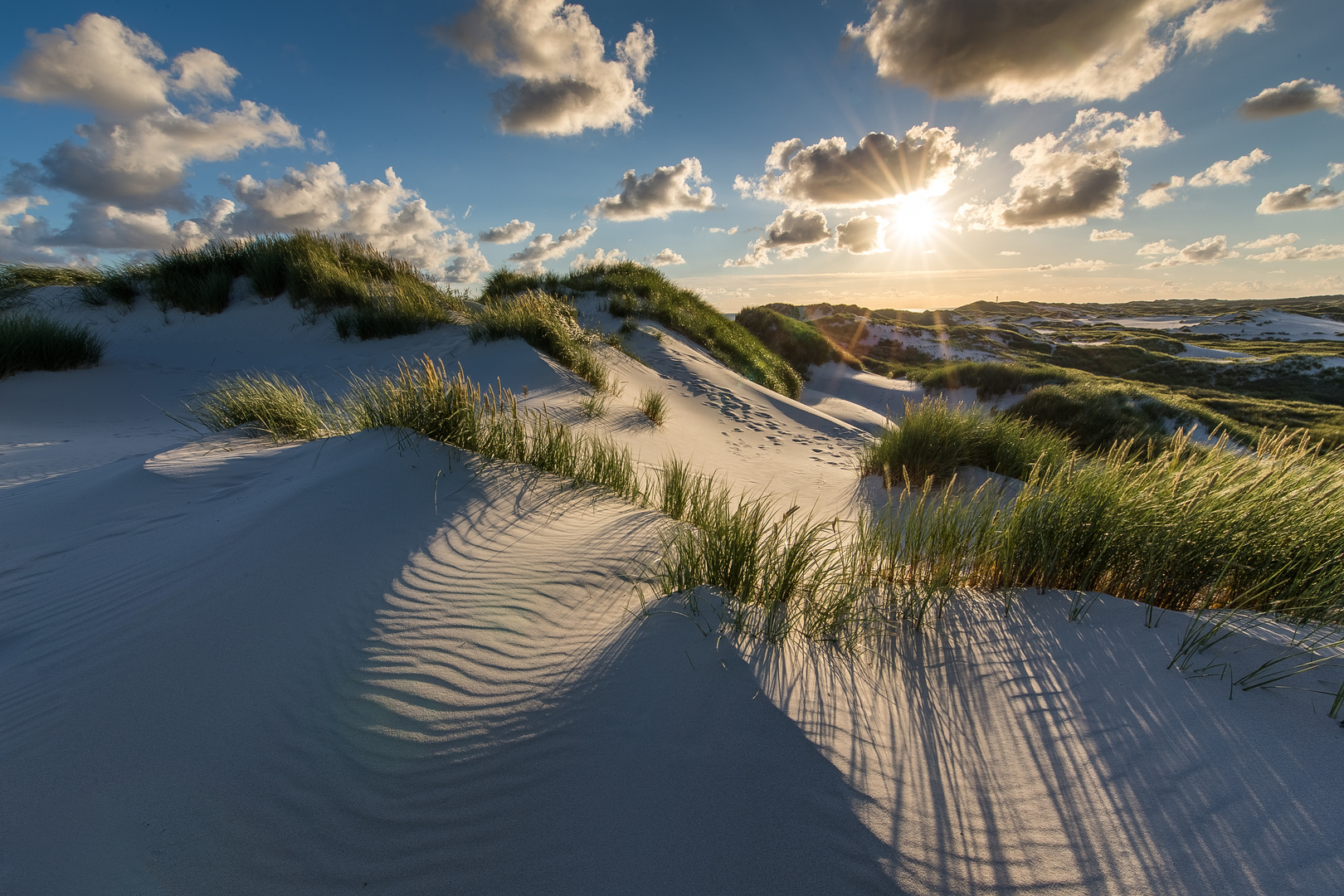 Abends in den Dünen von Amrum