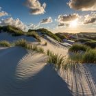 Abends in den Dünen von Amrum