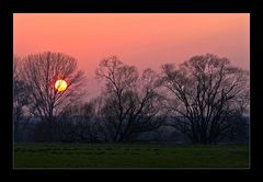 - Abends in den Mainauen -