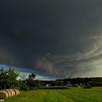 Abends in den Wiesen