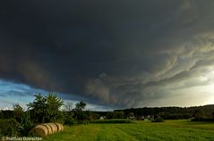 Abends in den Wiesen