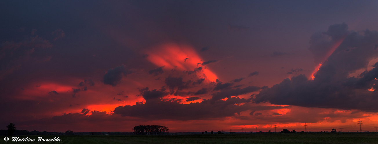 Abends in den Wiesen.