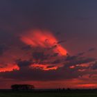 Abends in den Wiesen.