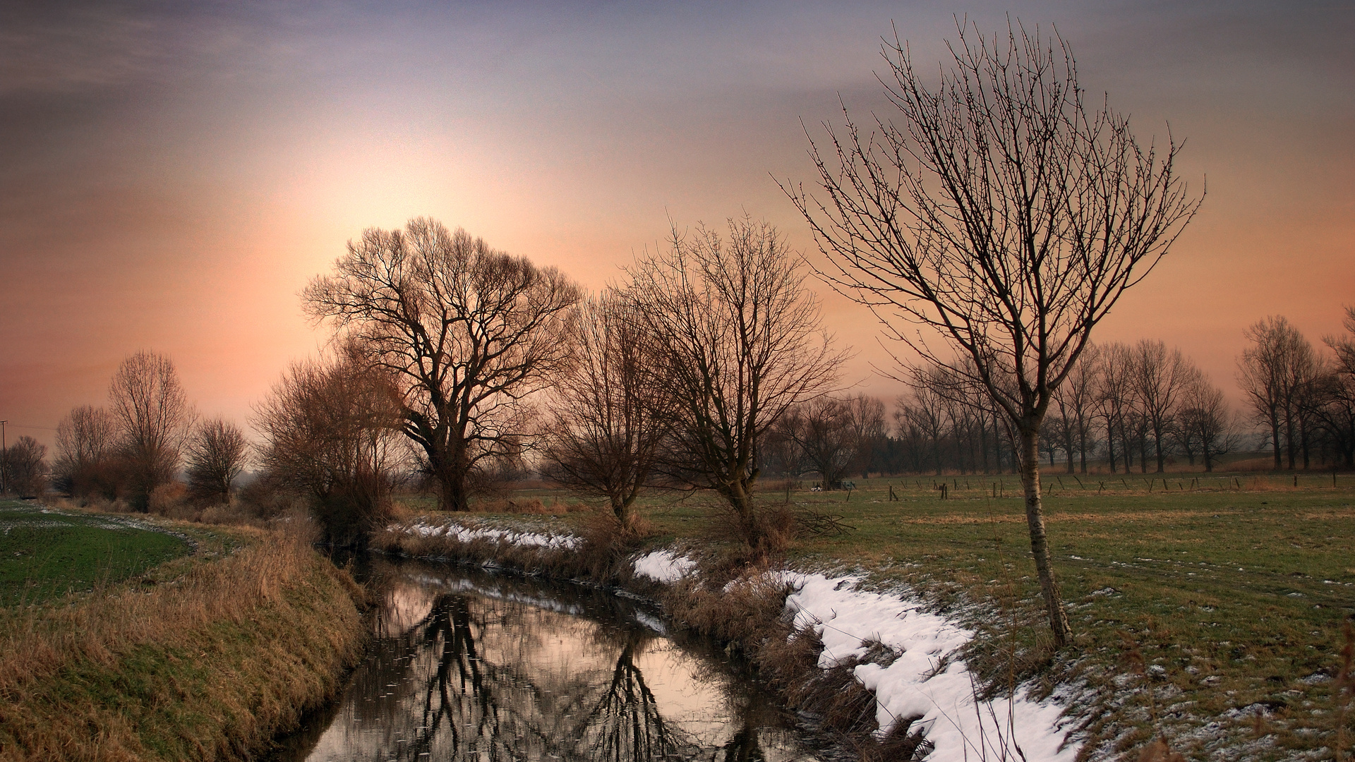 Abends in den Wiesen