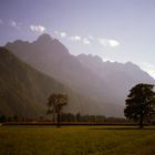 Abends in den Wiesen