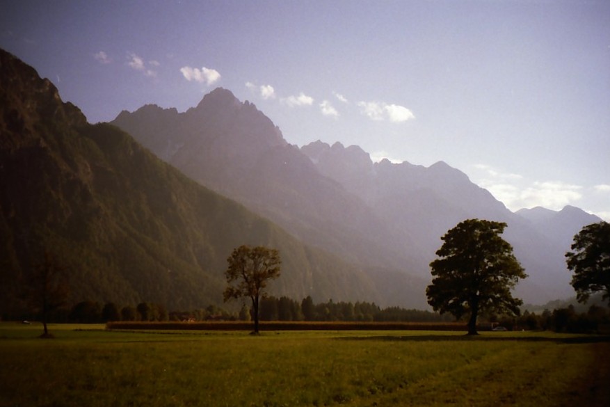 Abends in den Wiesen