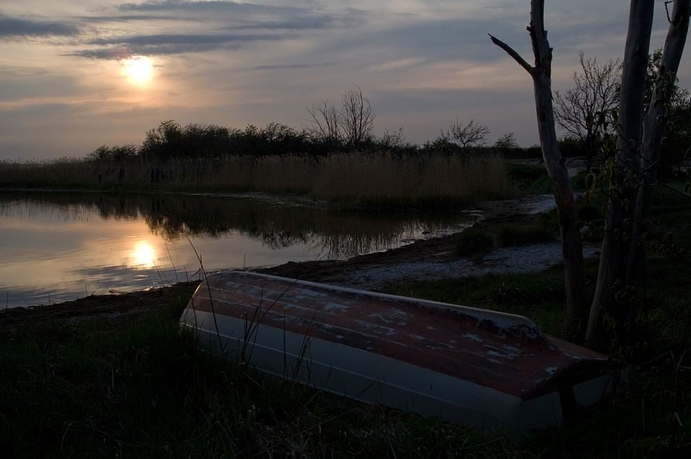 ...abends in der Boddenlandschaft... #1